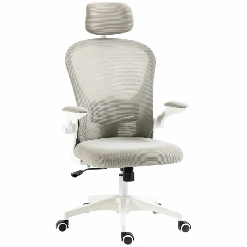 Multi-Adjustable Mesh Ergonomic Office Chair with 4-Way Lumbar Support - Grey