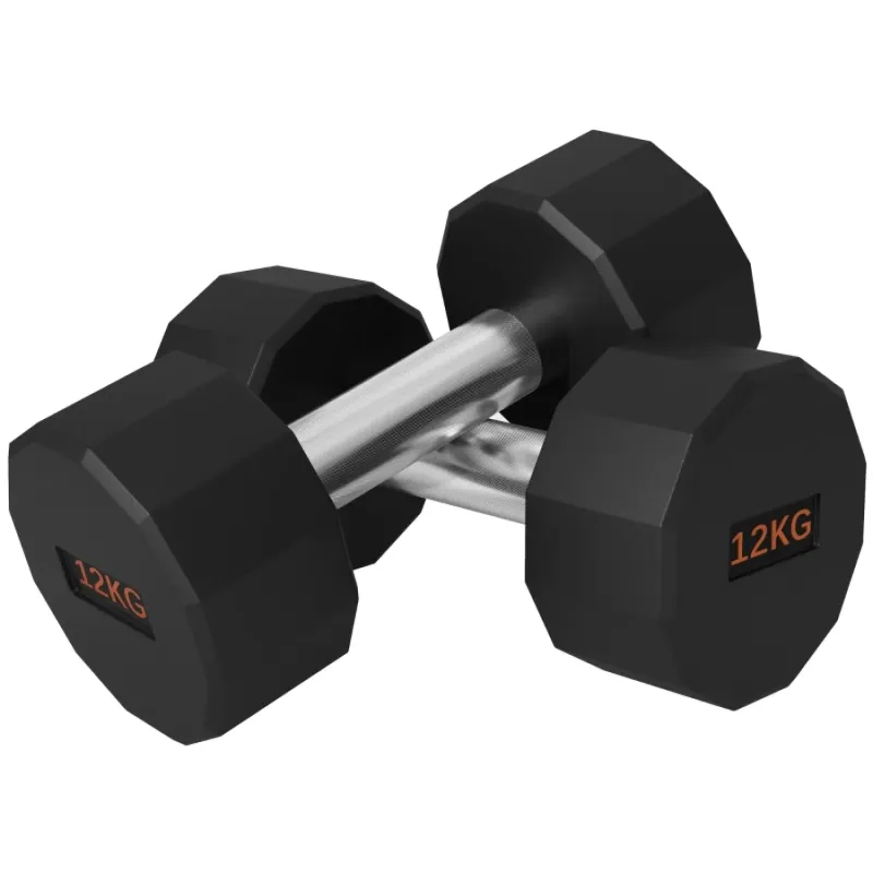 12kg Rubber Coated Dumbbells (Set of 2) with 12-Sided Anti-Roll Design